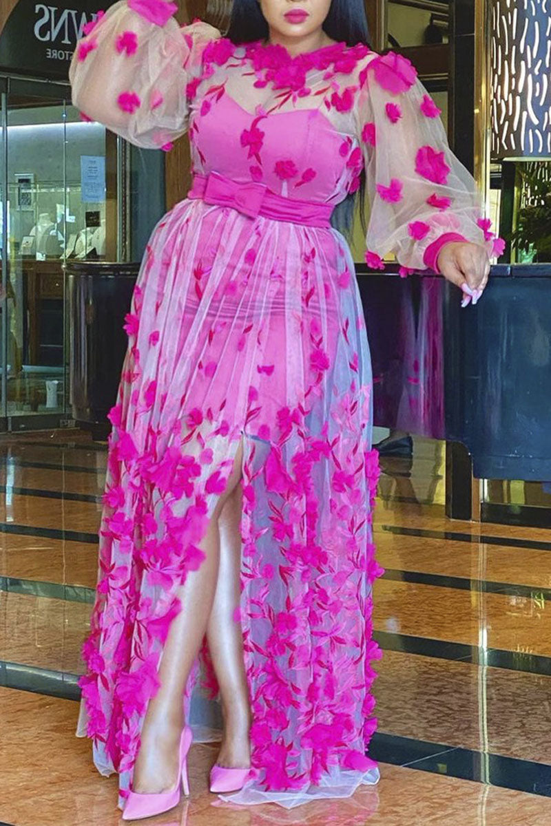 Robe Maxi Fendue Transparente à Imprimé Floral Transparent de Grande Taille